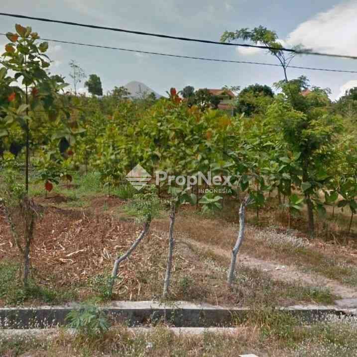 Tanah Siap Bangun Raya Ledug Pasuruan — foto 2